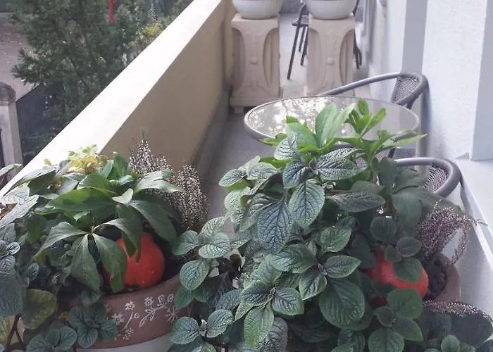 Pensjonat Eden 3* Сопот